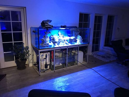 IMG_0439.JPG