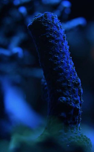 DSC_0229akvarie. 24.2.2017.jpg