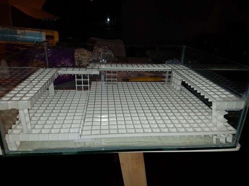 20170302_224226.jpg