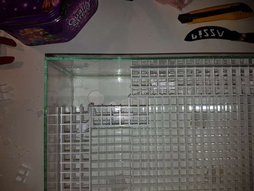 20170302_224235.jpg