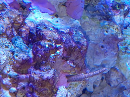 20170306_111304.jpg