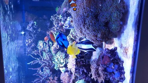20161130_132632.jpg