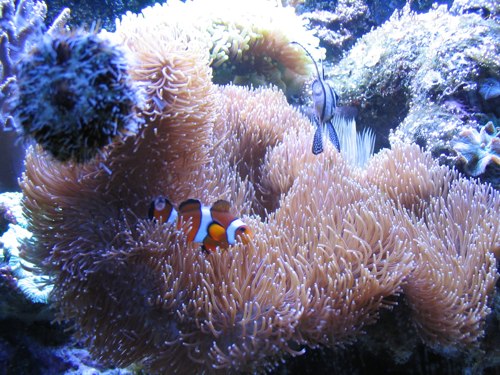 IMG_6853.jpg