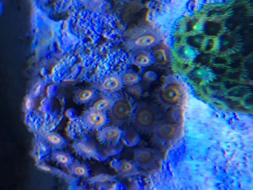 IMG_0011.JPG