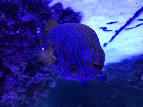 IMG_0202.JPG