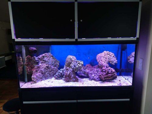 Displaytank 12/4 2017