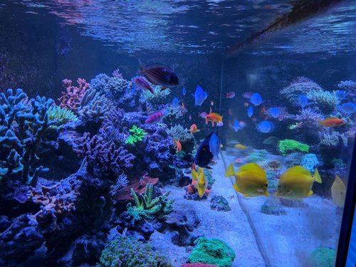IMG_20170426_210645.jpg