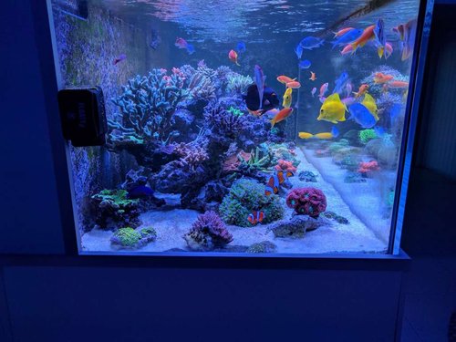 IMG_20170426_210658.jpg
