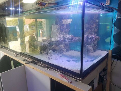 20170429_114923.jpg