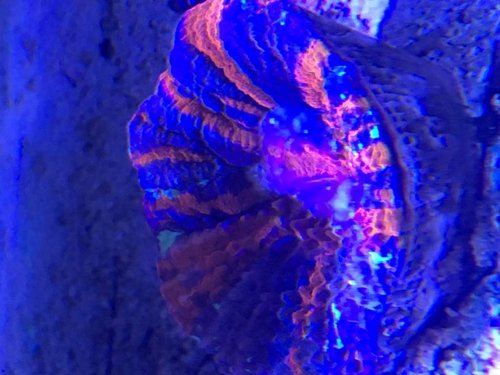 IMG_6279.JPG