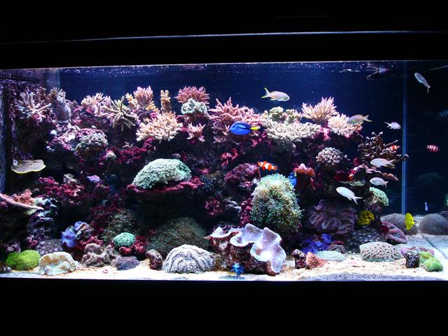 DSC01613 (Small).JPG