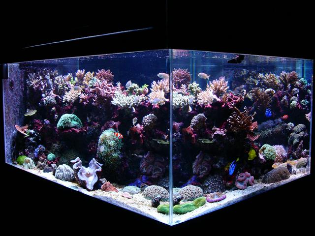 DSC01614 (Small).JPG