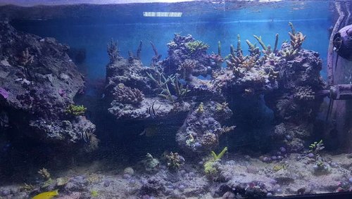 480 liters.jpg