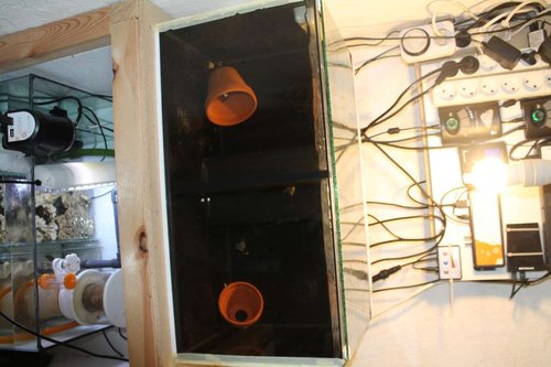 LM setup.JPG