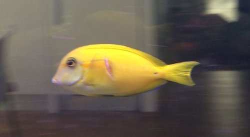 IMG_9595.JPG