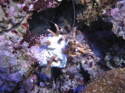 mt 789517 (400 x 300).jpg