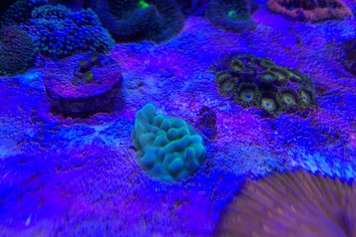 IMG_4749.JPG