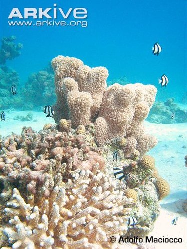 IMG_0581.JPG
