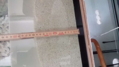 10-15cm og akvariet er 70cm højt