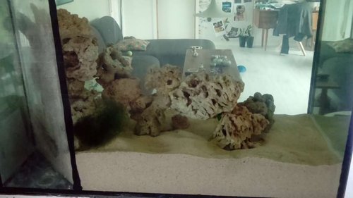 DSC_0102.JPG