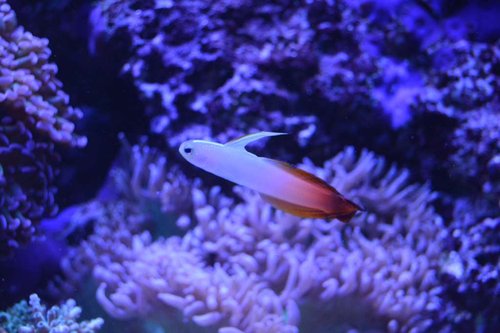 DSC_0554.JPG