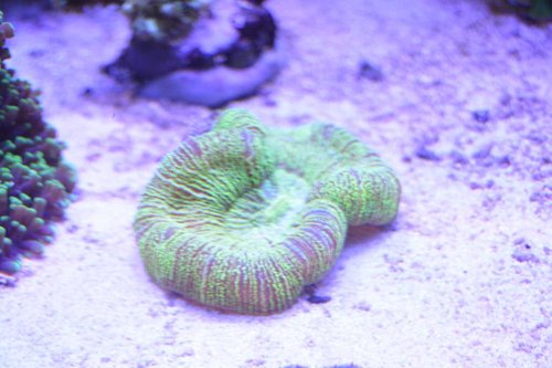 DSC_0565.JPG