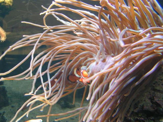 PICT0173 (Small).JPG