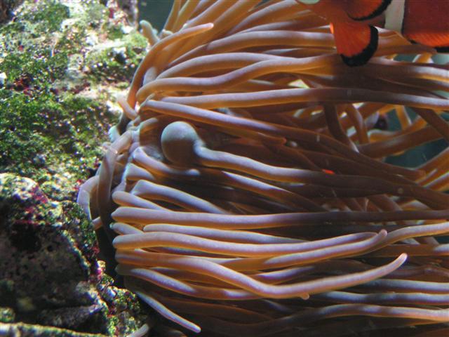 PICT0175 (Small).JPG