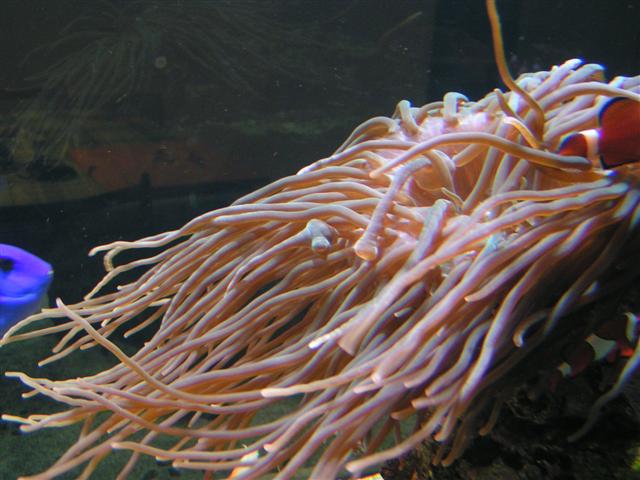 PICT0176 (Small).JPG