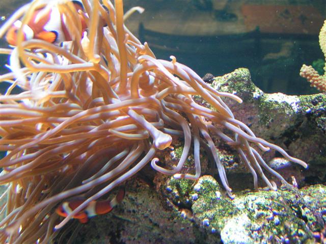 PICT0177 (Small).JPG