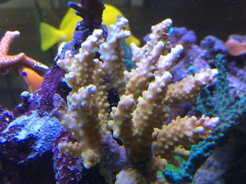 IMG_9992.JPG