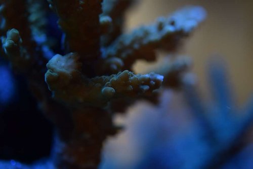 DSC_0208.JPG