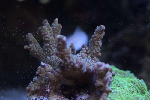 DSC_0328.JPG