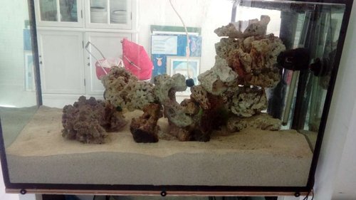 DSC_0116.JPG