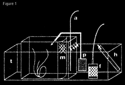 Diagram by David Littlehale..png