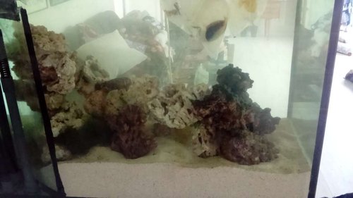 DSC_0119.JPG