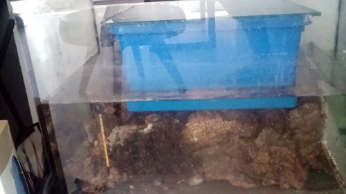 The blue magical box