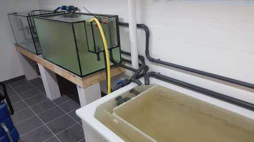 Test påfyldning..jpg (41.58 KiB) Vist 20160 gange Første test opfyldning.