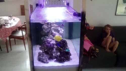 DSC_0130.JPG