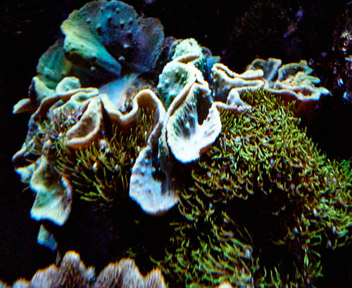 DSC00967.jpg