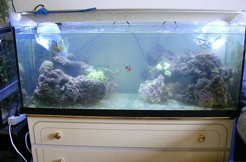 AKVARIUM004.jpg