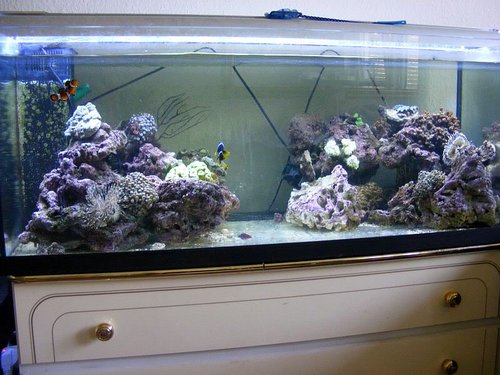 akvarium006.jpg