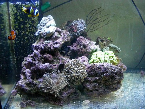 akvarium010.jpg