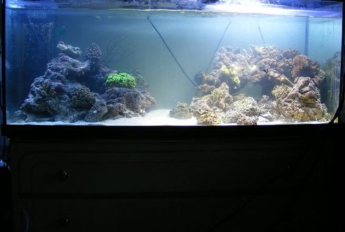 sandakvarium002.jpg