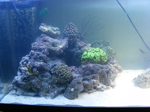 sandakvarium005.jpg