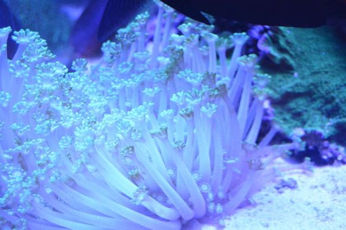 DSC_0663.JPG