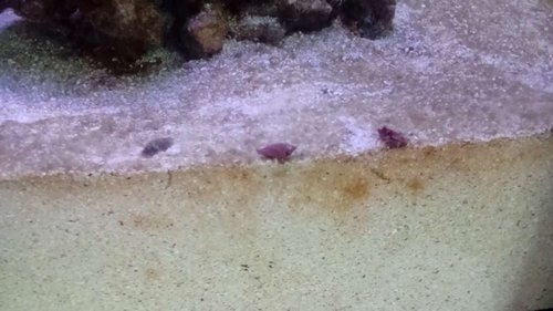 DSC_0174.JPG