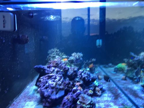 IMG_0388.JPG
