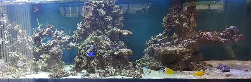 060817 full DT.jpg