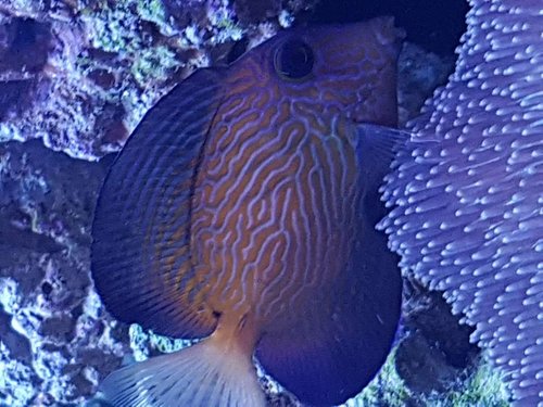 20170811_171740.jpg